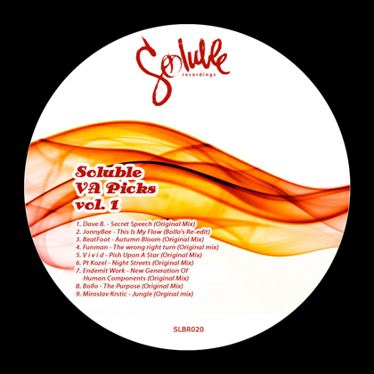 https://www.solublerecordings.com/files/2014/08/Soluble-VA-Picks-vol.jpg